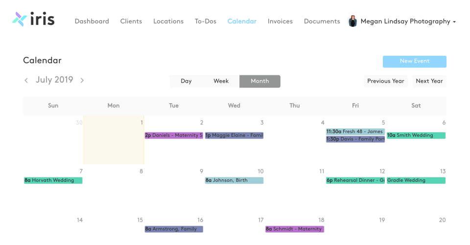 screenshot of Iris Works